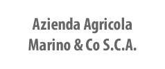 Azienda Agricola di Marino & Co Soc. Coop. Agr.